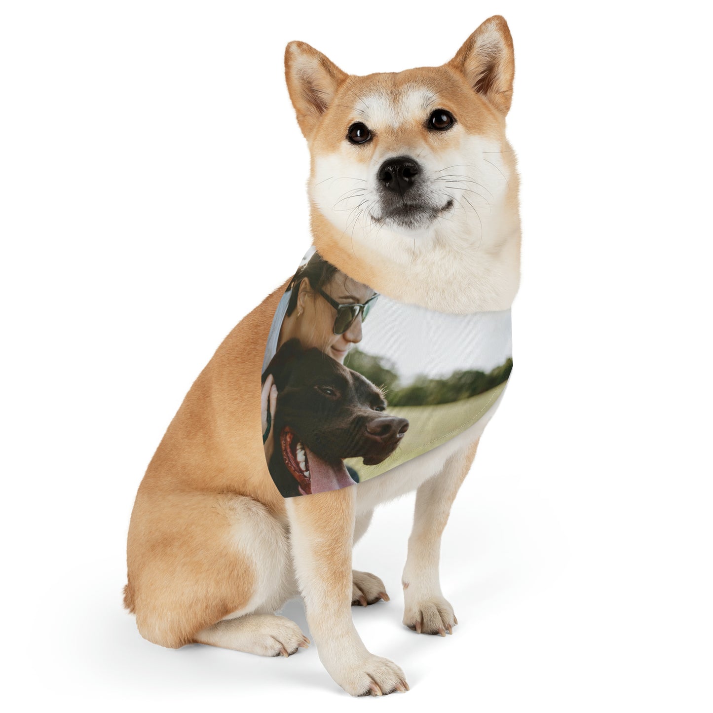 bandana chien personnalisé