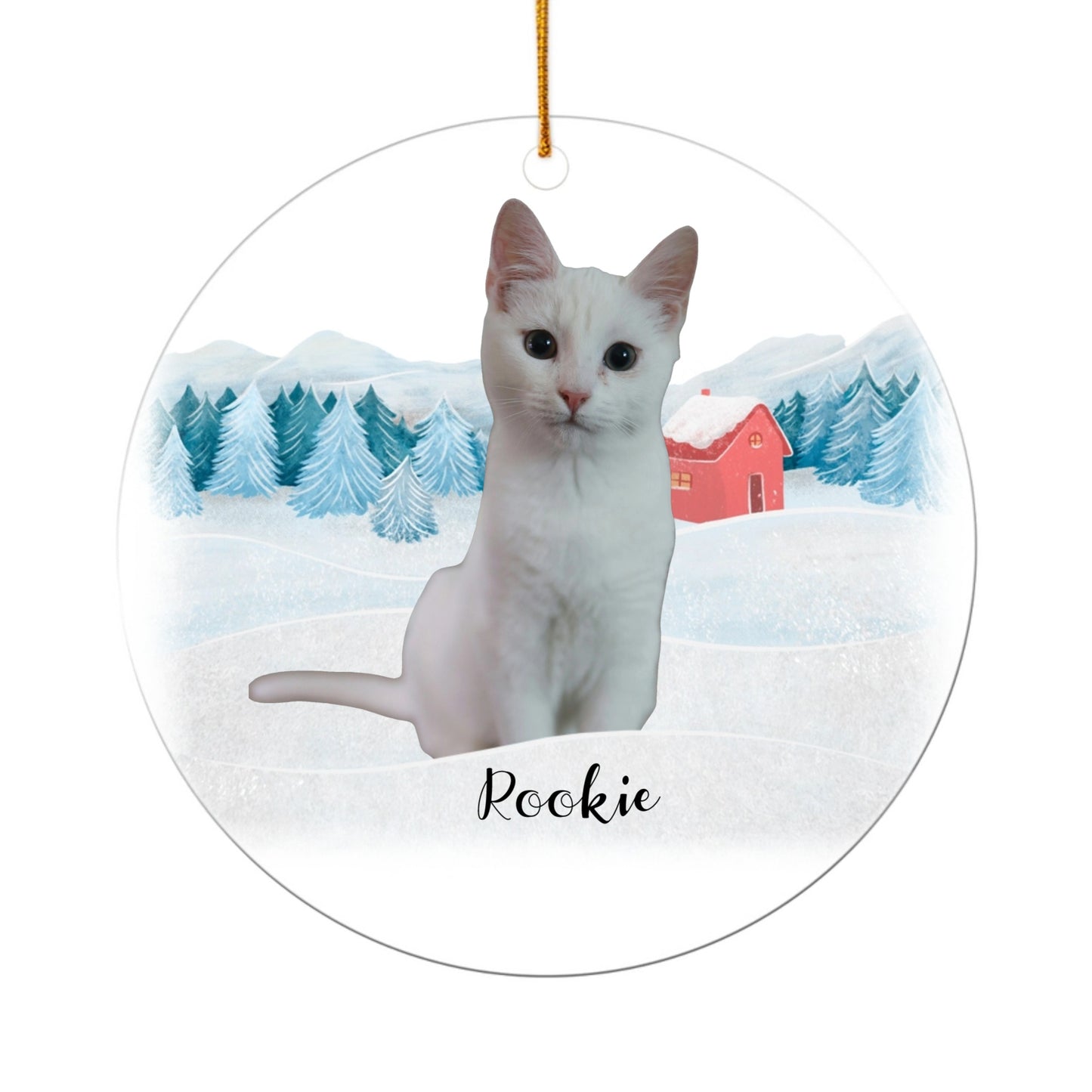 Ornement Acrylique Personnalise Chat
