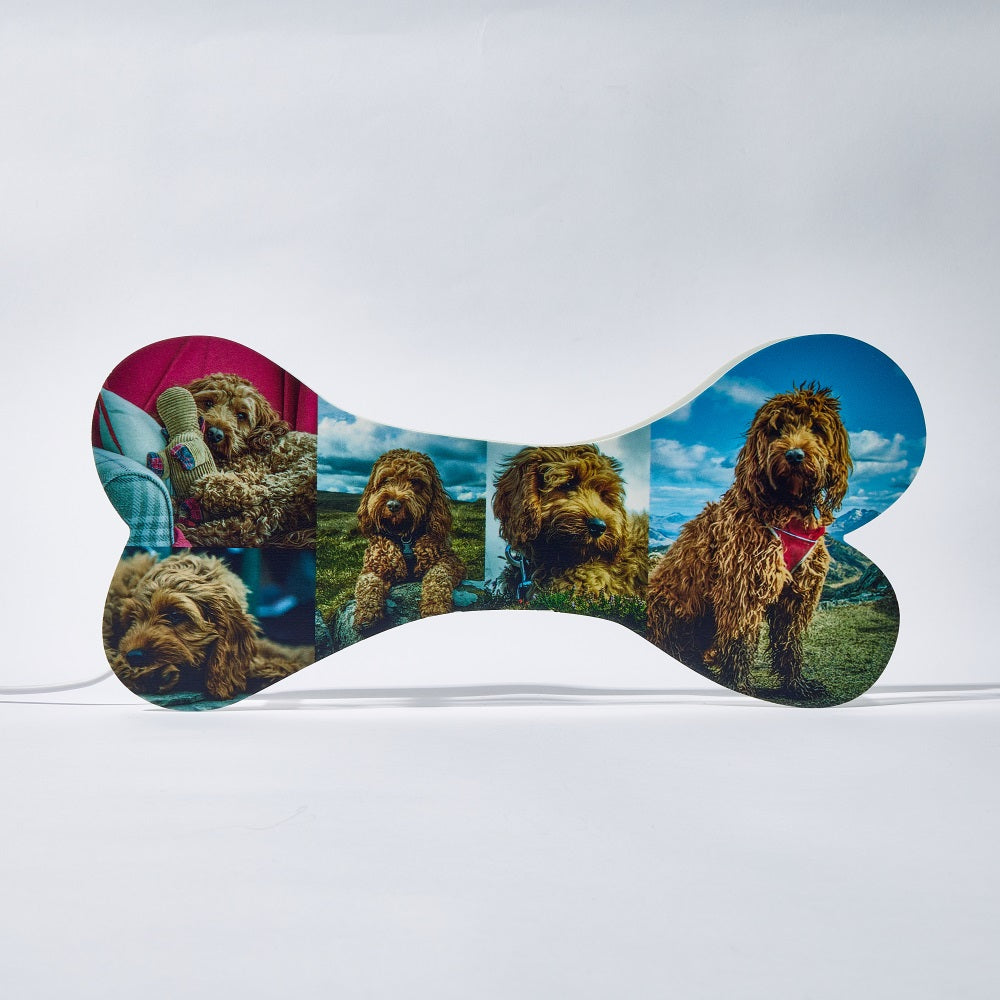 Personalized bone night light with 5 dog photos, USB powered, warm LED