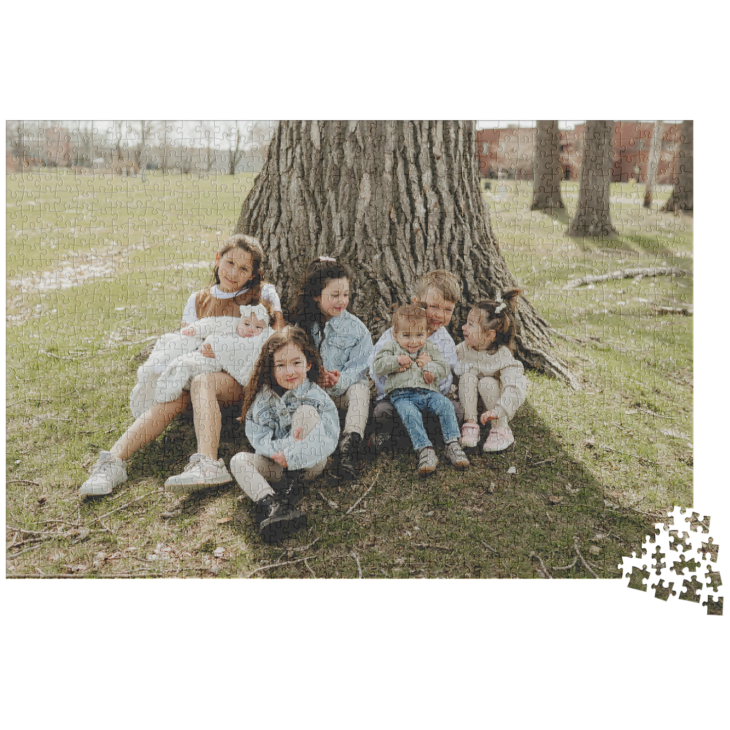 1128_1014pc_H_Loose_Mockup.png_15702228
