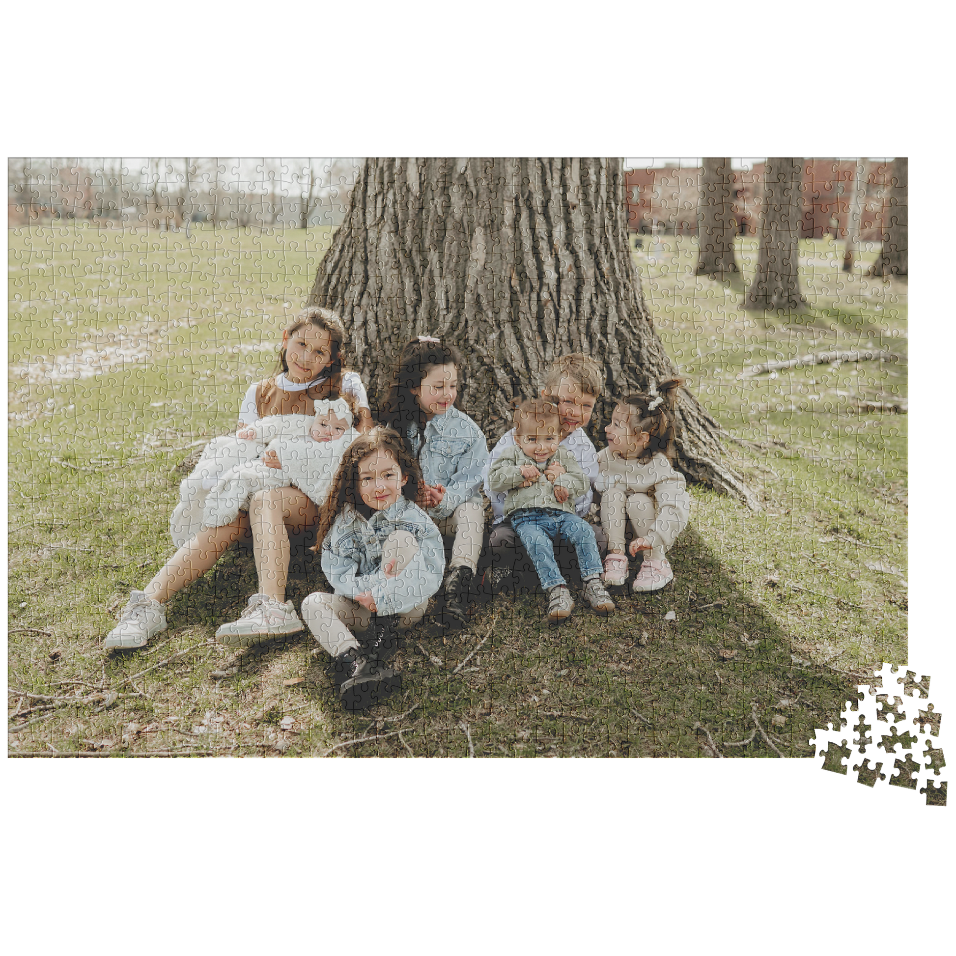 1128_1014pc_H_Loose_Mockup.png_15702228