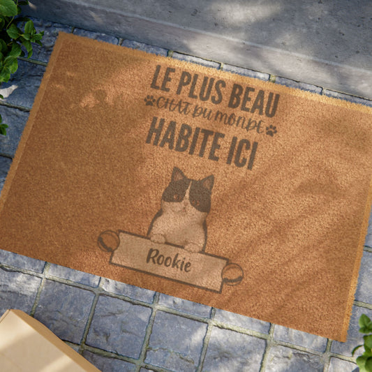 Tapis-Exterieur-Personnalise-Avec-Chat