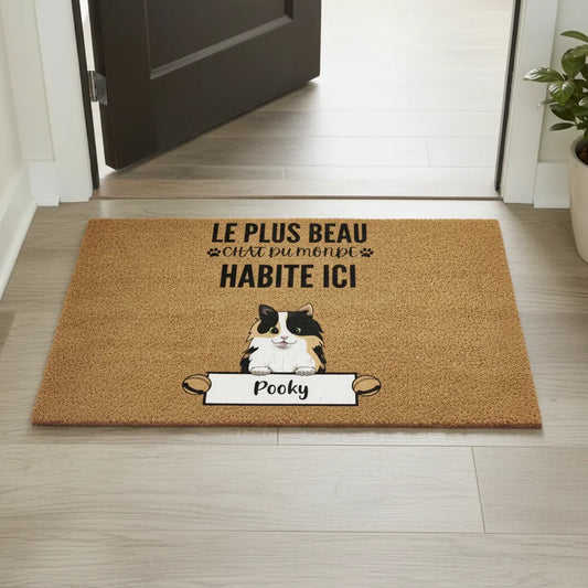 Tapis Personnalisé Chat
